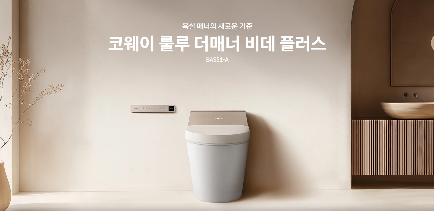 메인 비데